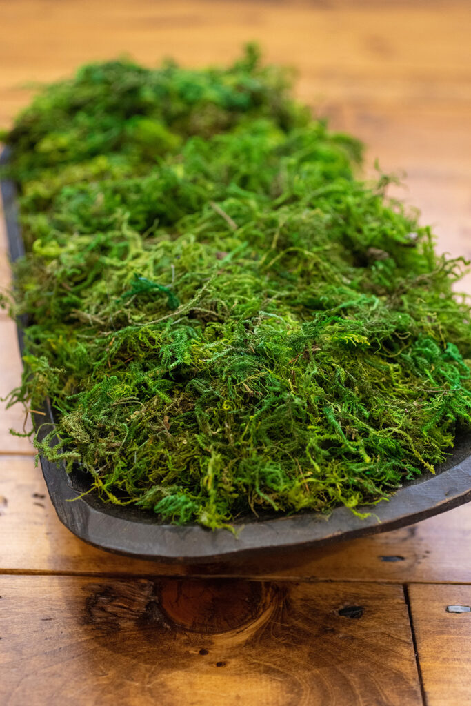 Moss Bowl