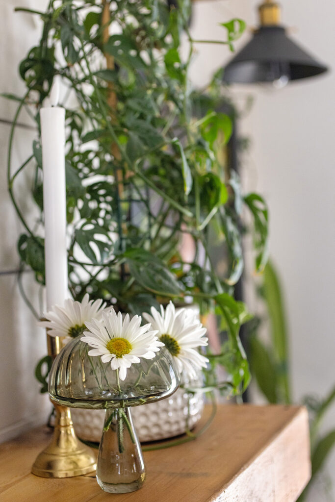 Mushroom Vase with Daisies