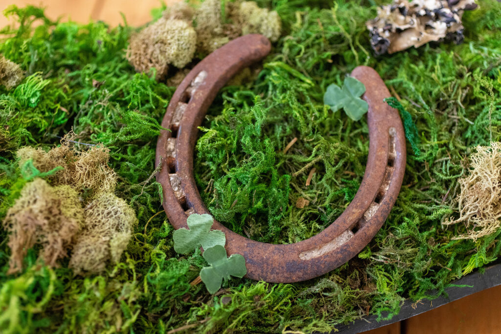 St. Patrick's Day Moss Bowl Horseshoe