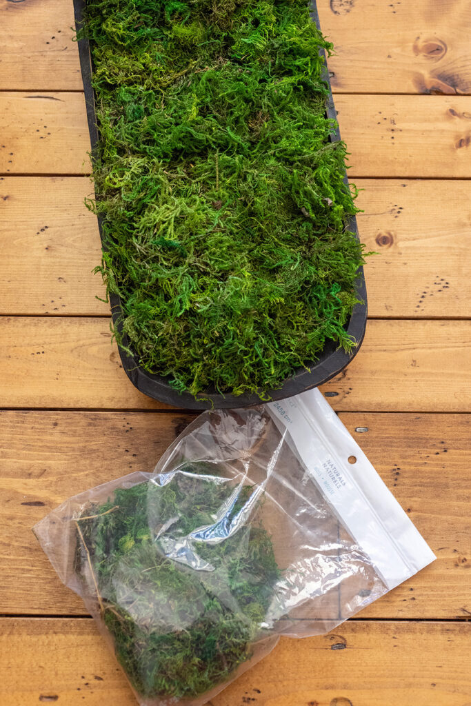 St. Patrick's Day Moss Bowl Supplies