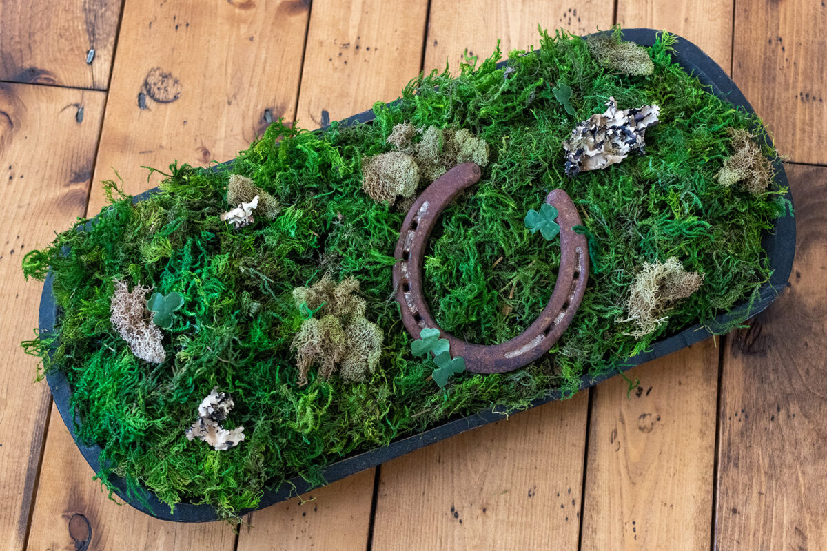 St. Patrick's Day Moss Bowl