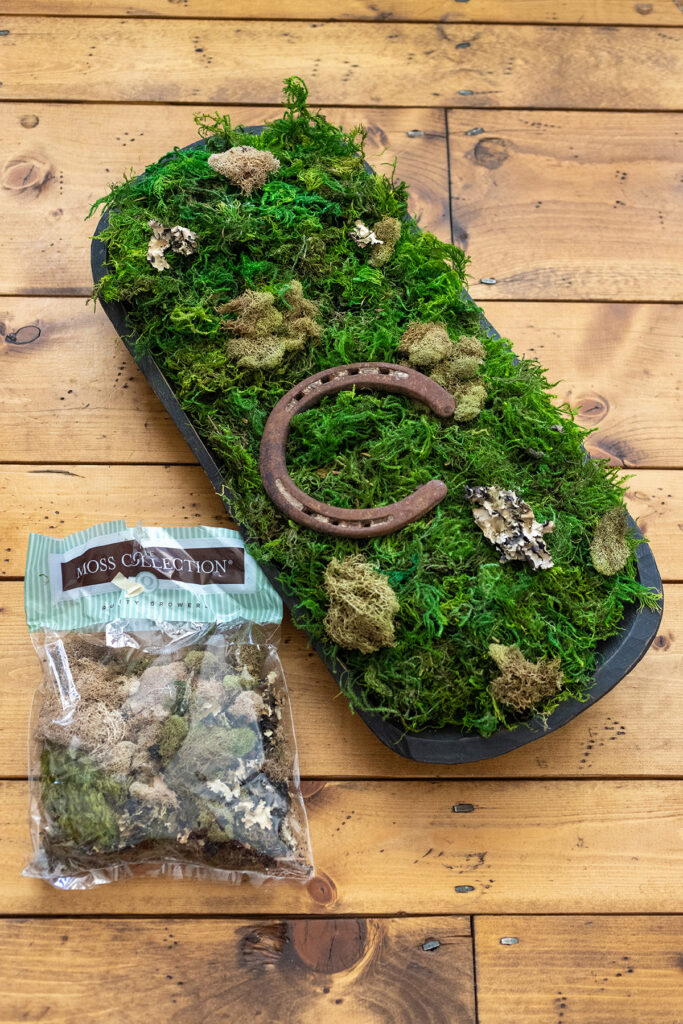 St. Patrick's Moss Bowl Supplies