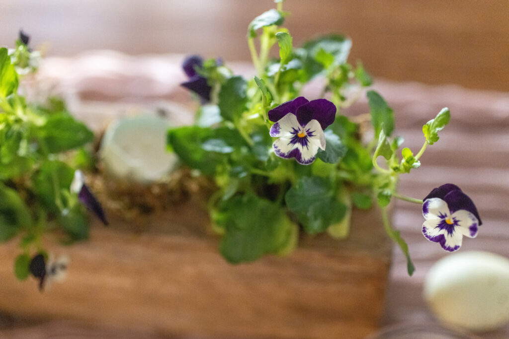 Easter Tablescape | Pansies