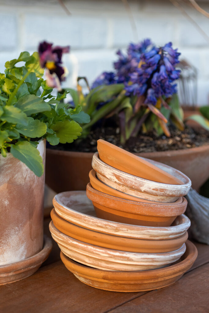 Spring Terra Cotta Plant Trays