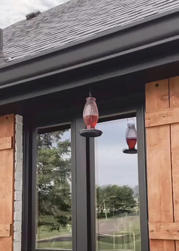 ChristyB | Hummingbird Feeder