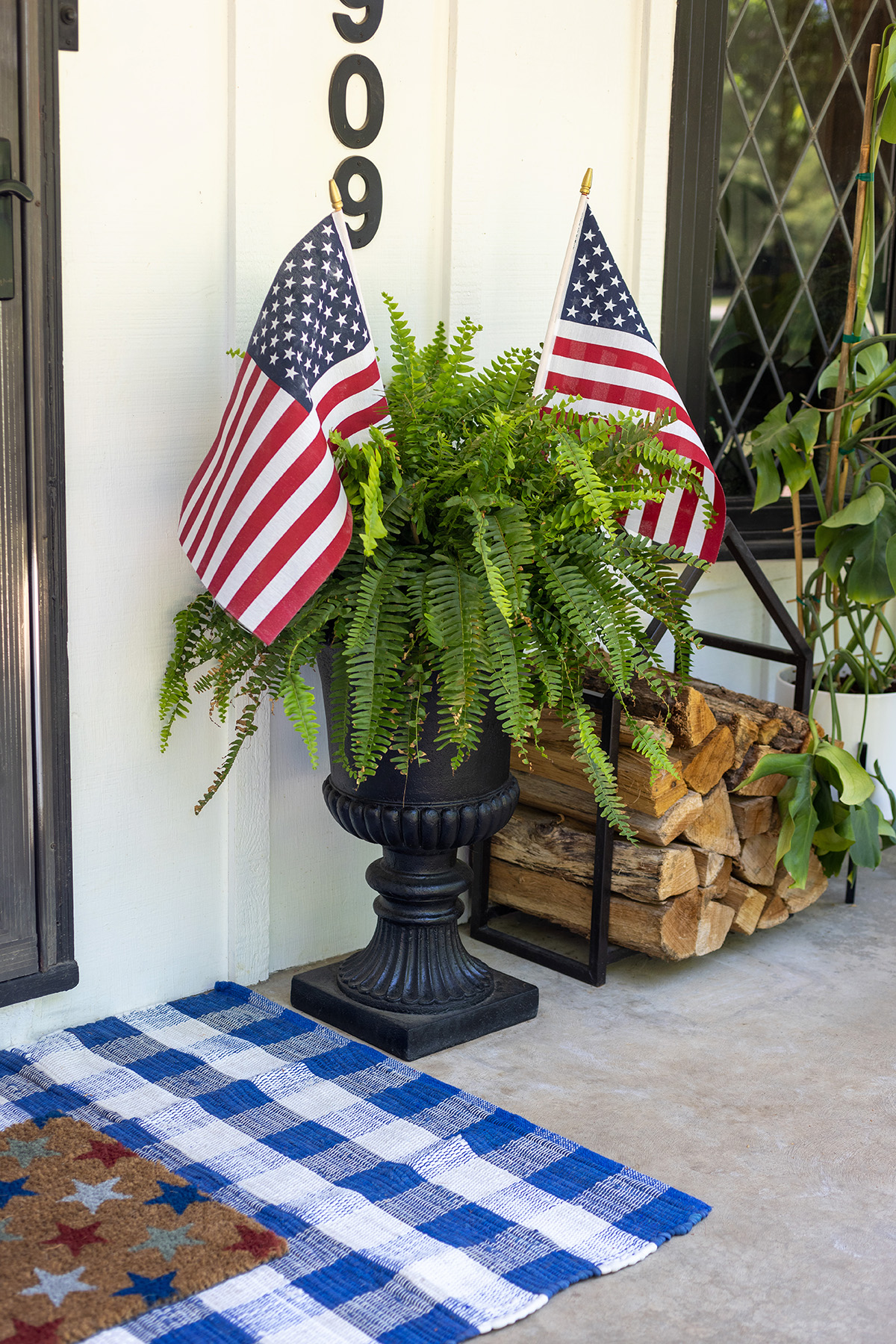 Patriotic Ferns