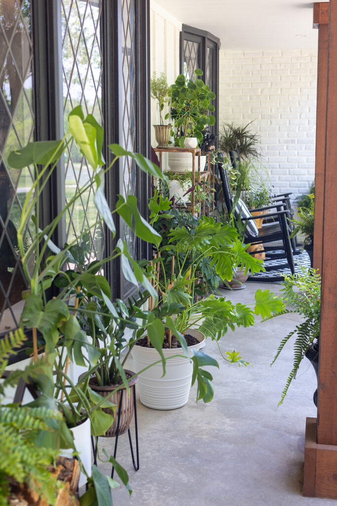 ChristyB: Front Porch Jungle