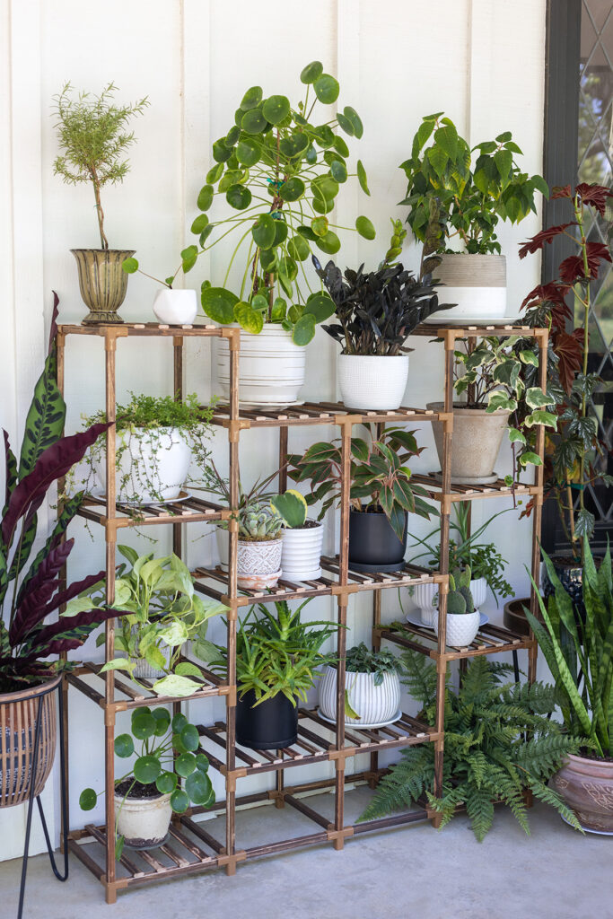 Front Porch Plant Shelf
