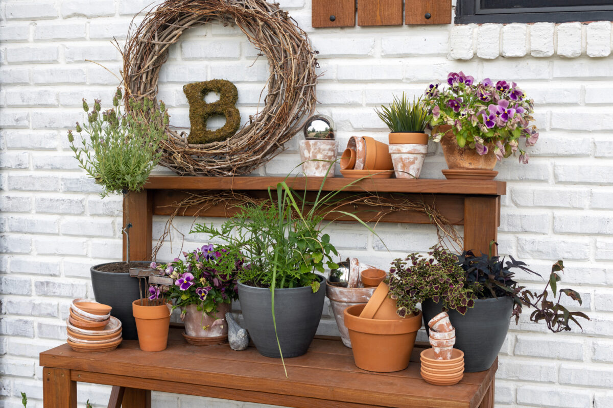 Summer Annuals Potting Bench