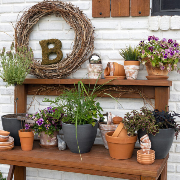 Summer Annuals Potting Bench