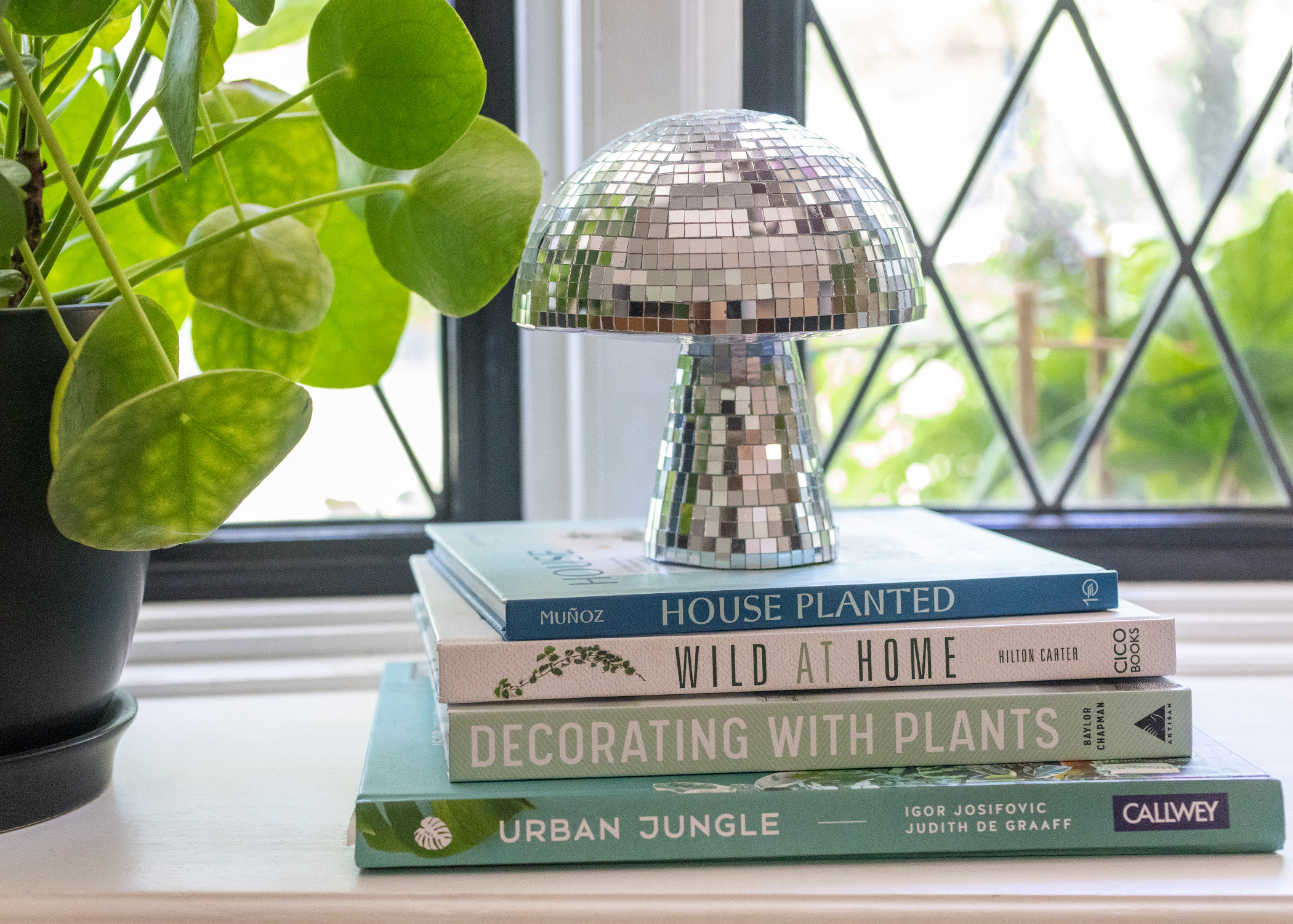 House Plant Coffee Table Books