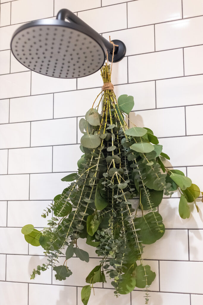 Eucalyptus Scented Shower