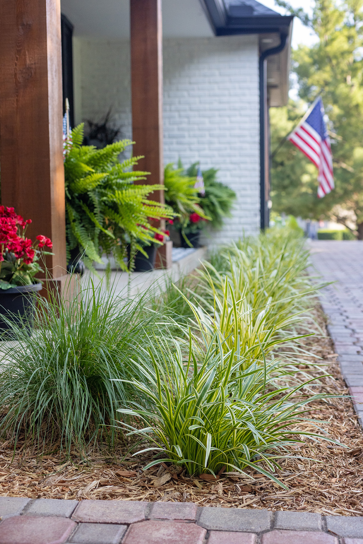 Front Flowerbed Liriope