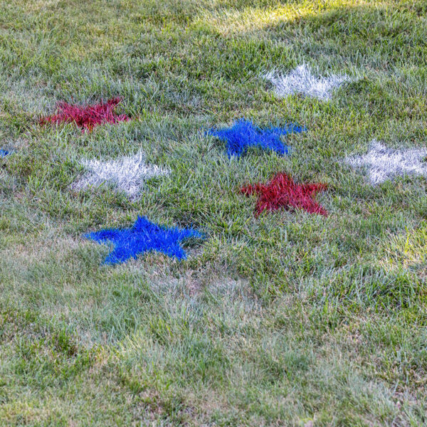 Painted Yard Stars