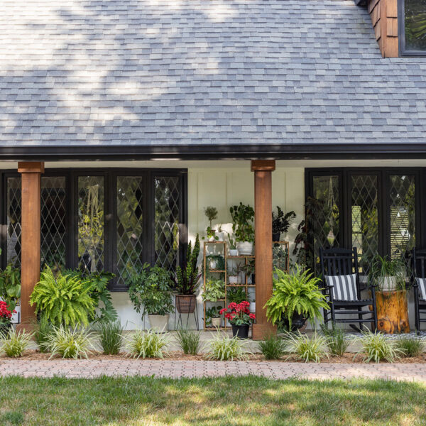 ChristyB | Front Porch Summer Ferns