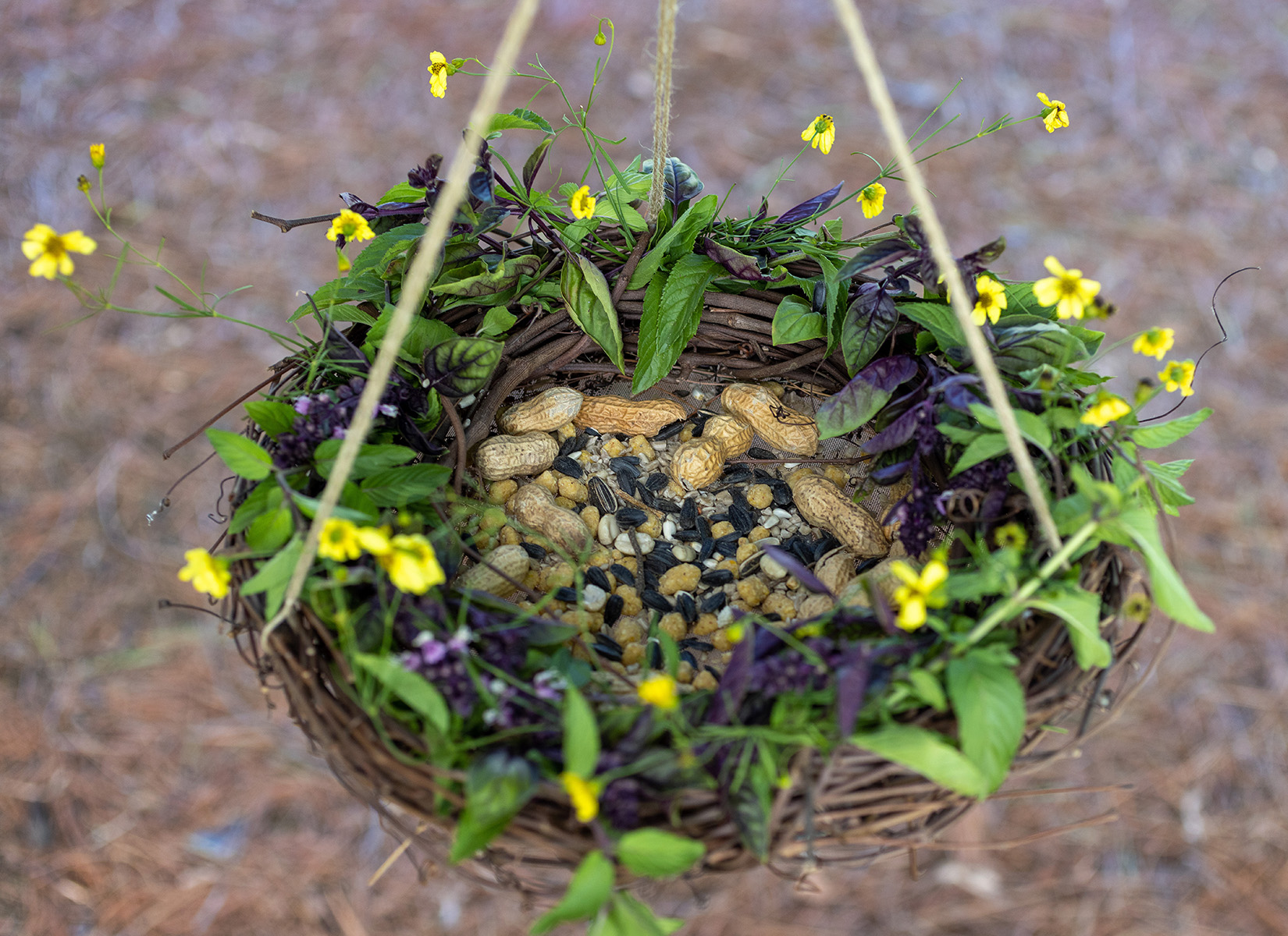 Grapevine Bird Feeder Summer Version