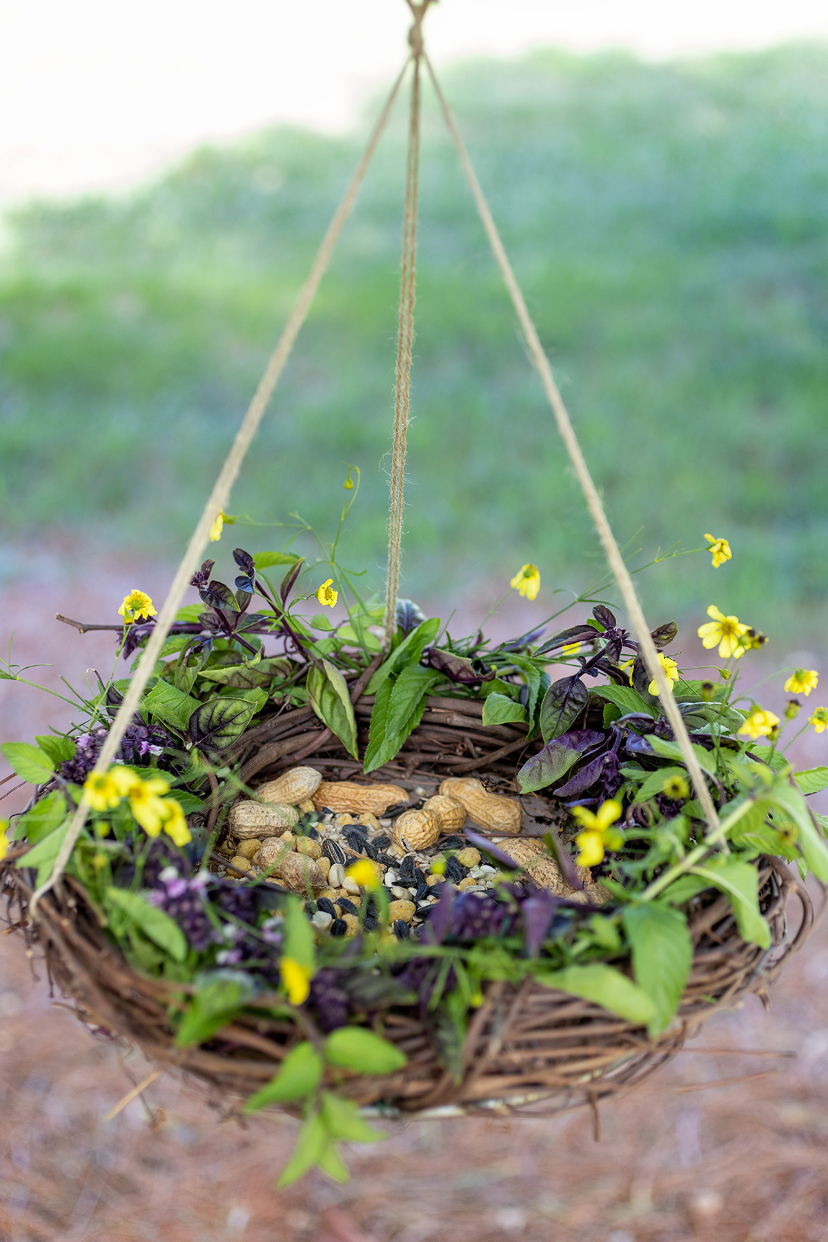 Grapevine Wreath Bird Feeder Summer Version