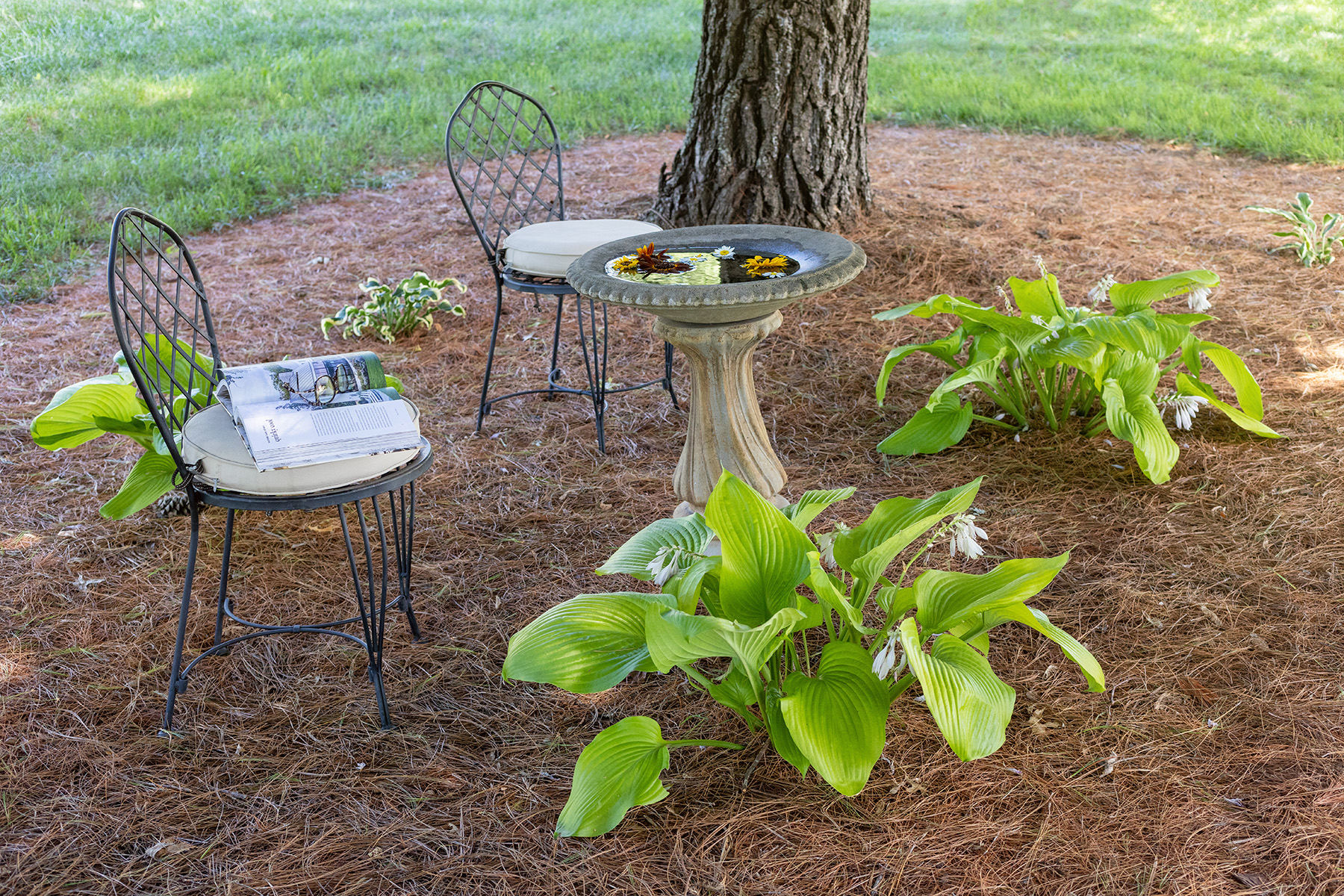 Outdoor Bird Watching Sitting Area