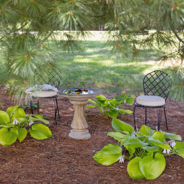 Outdoor Pine Tree Bird Watching Sitting Area