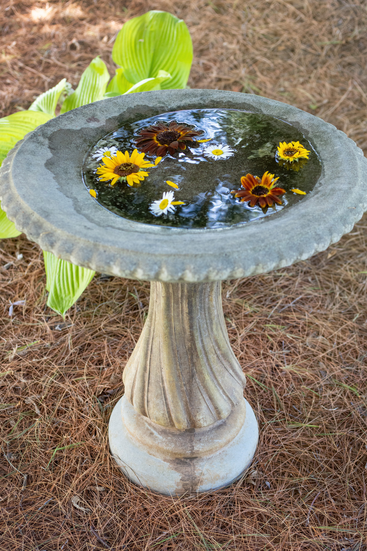 Outdoor Sitting Area Bird Bath