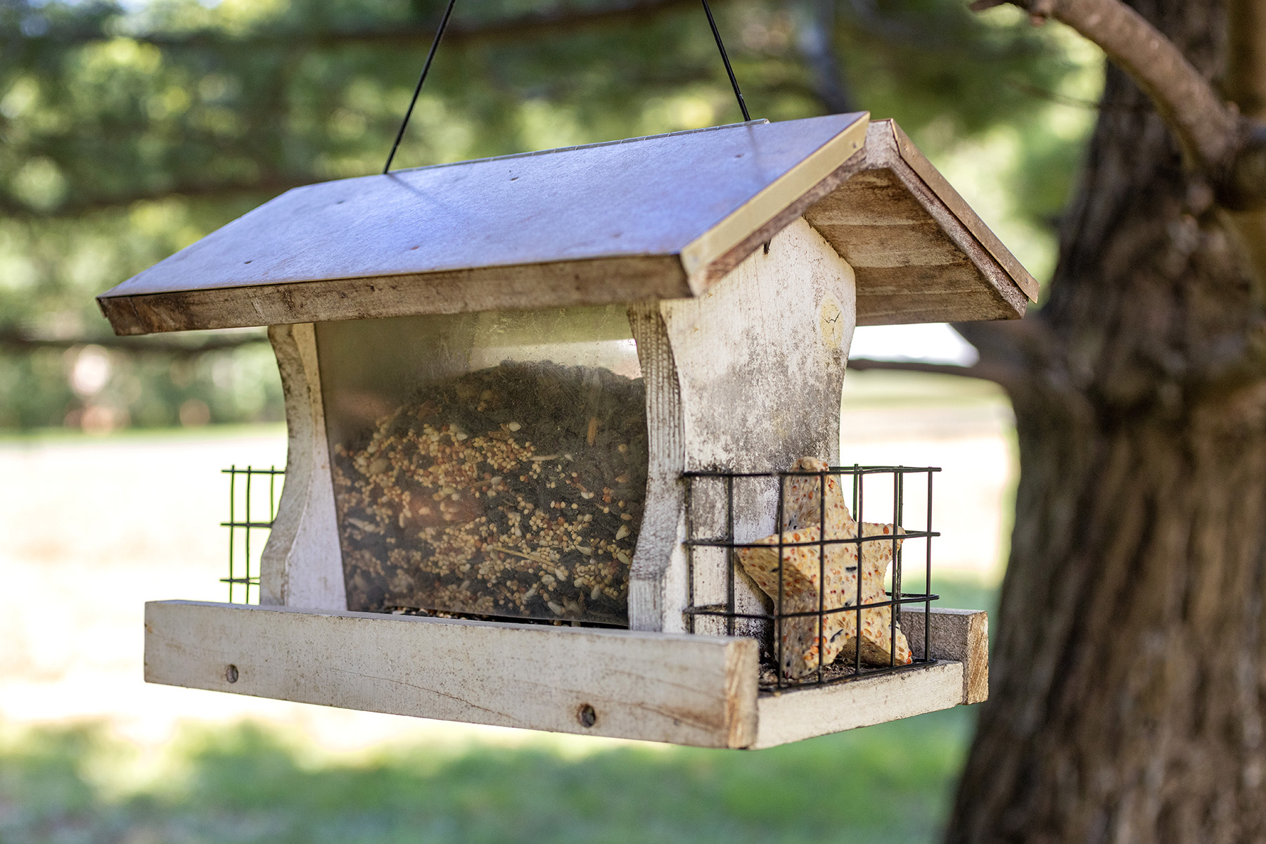 Outdoor Sitting Area Bird Feeder