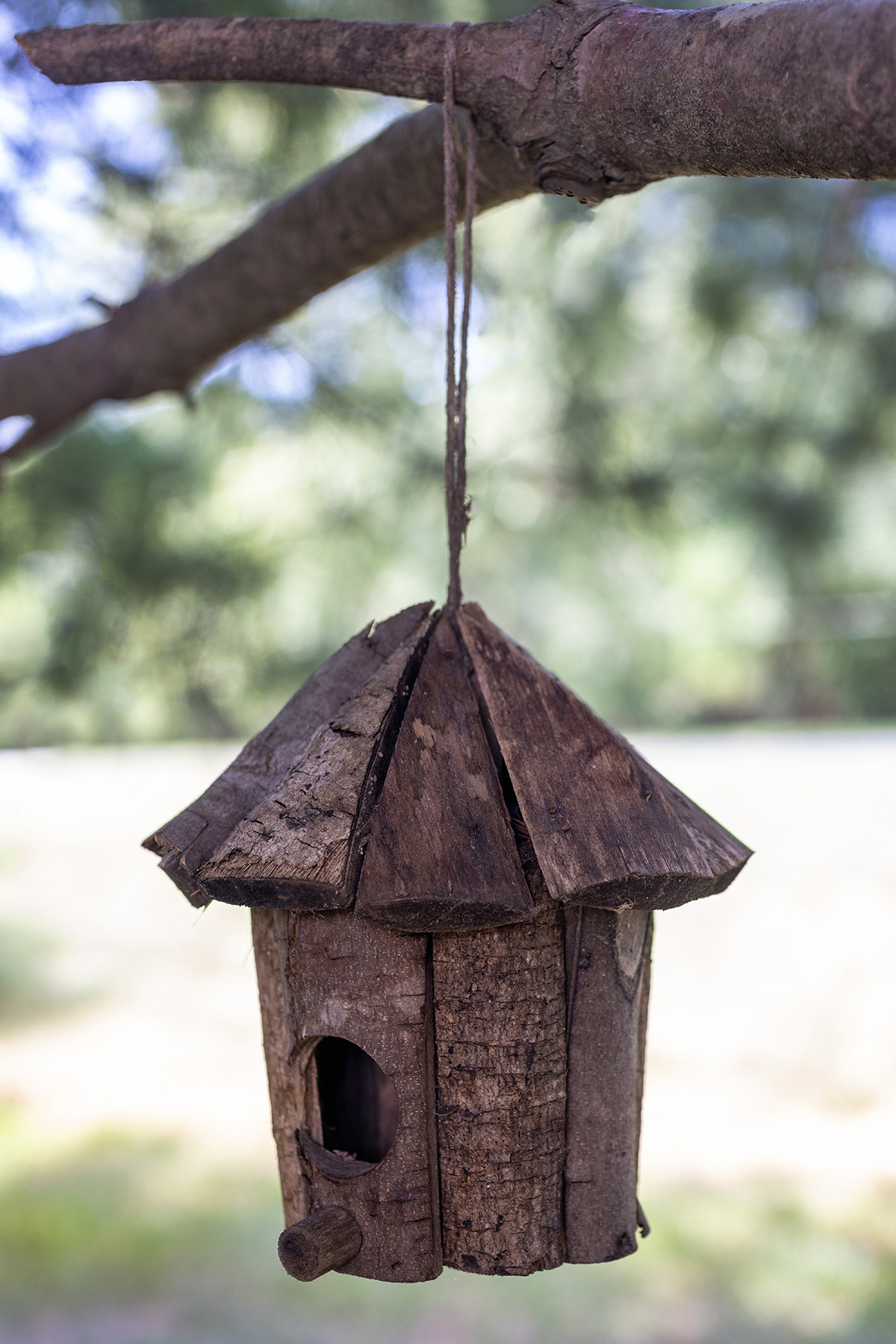 Outdoor Sitting Area Bird House