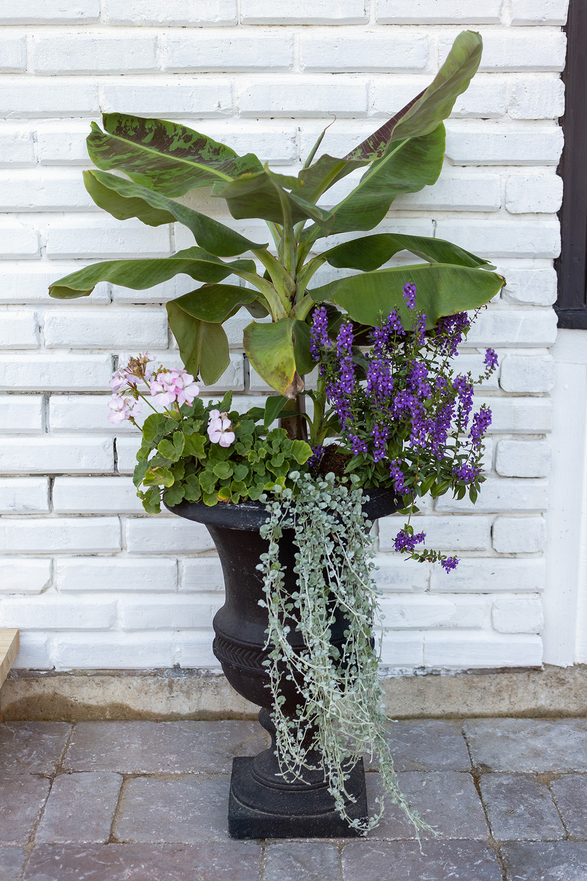 Back Patio Annual Flowers Urn