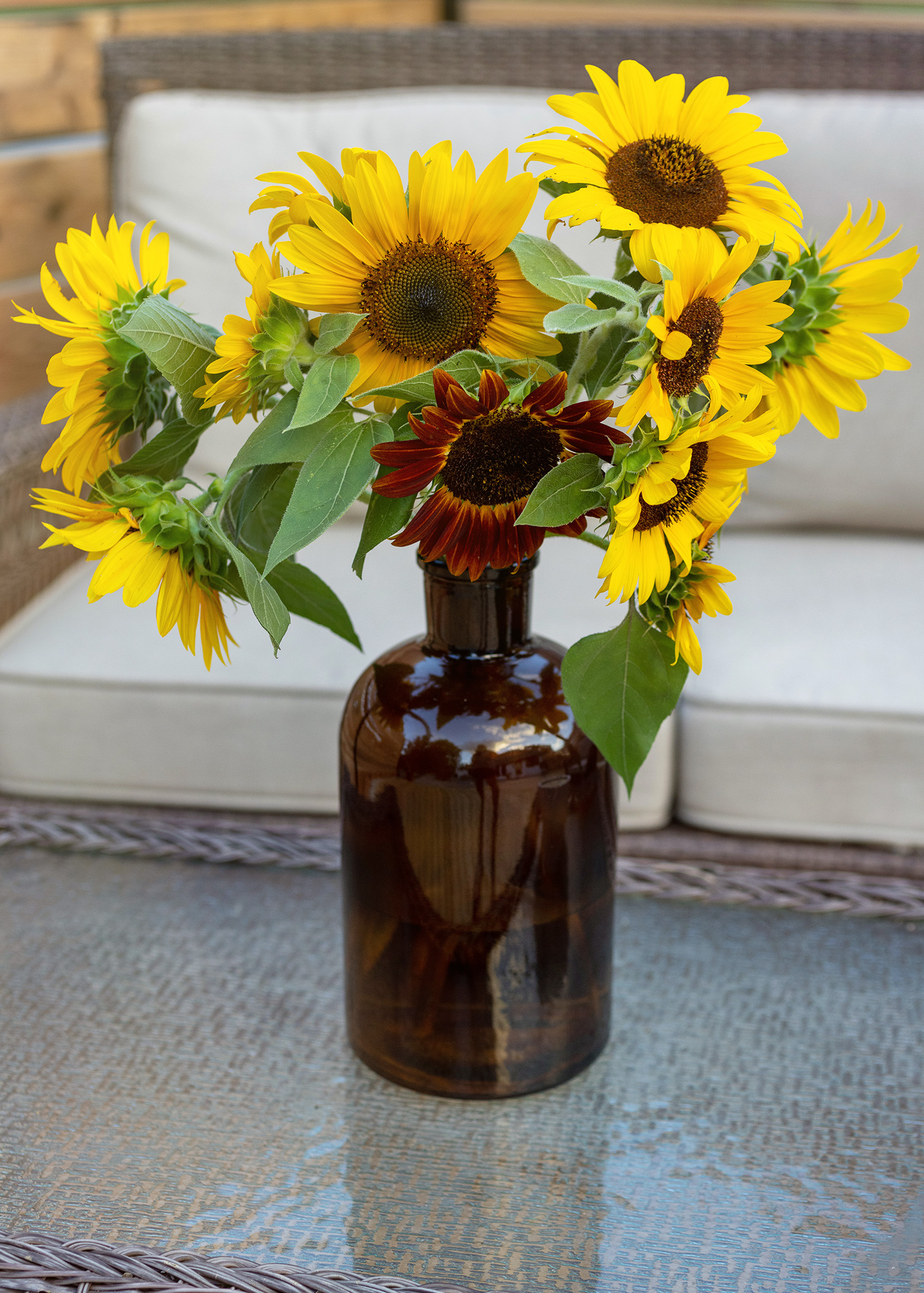 Back Patio Sunflower Arrangement