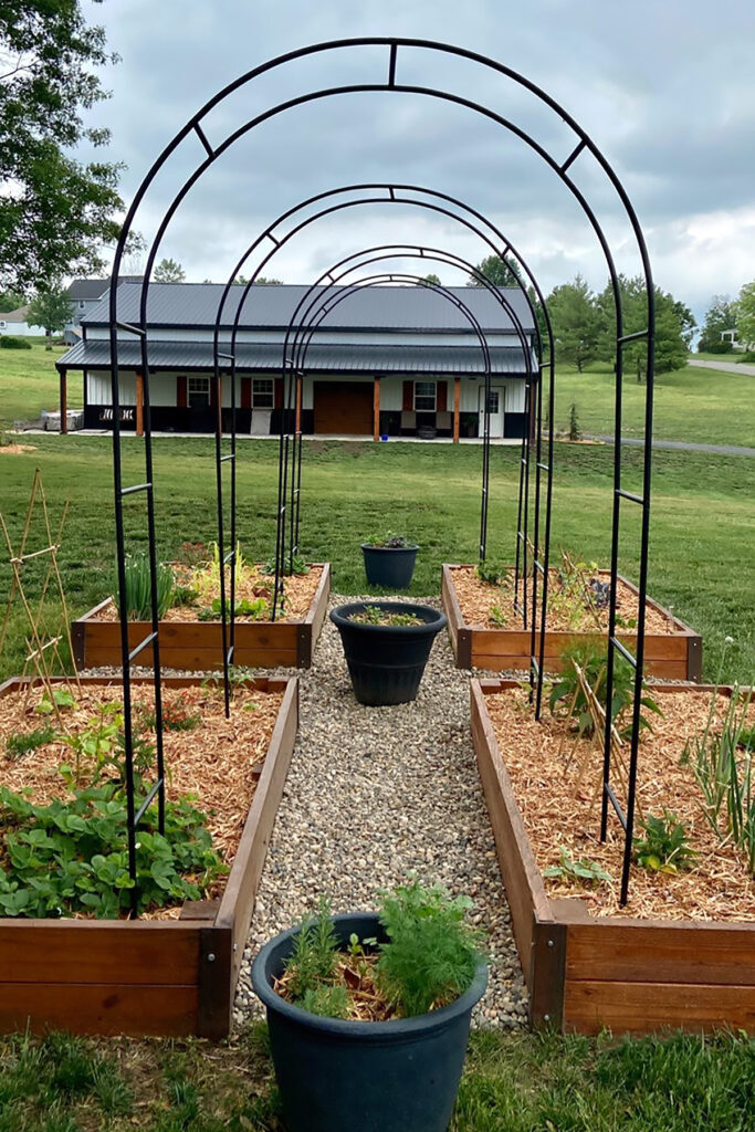 Garden Trellises | Spring 2023