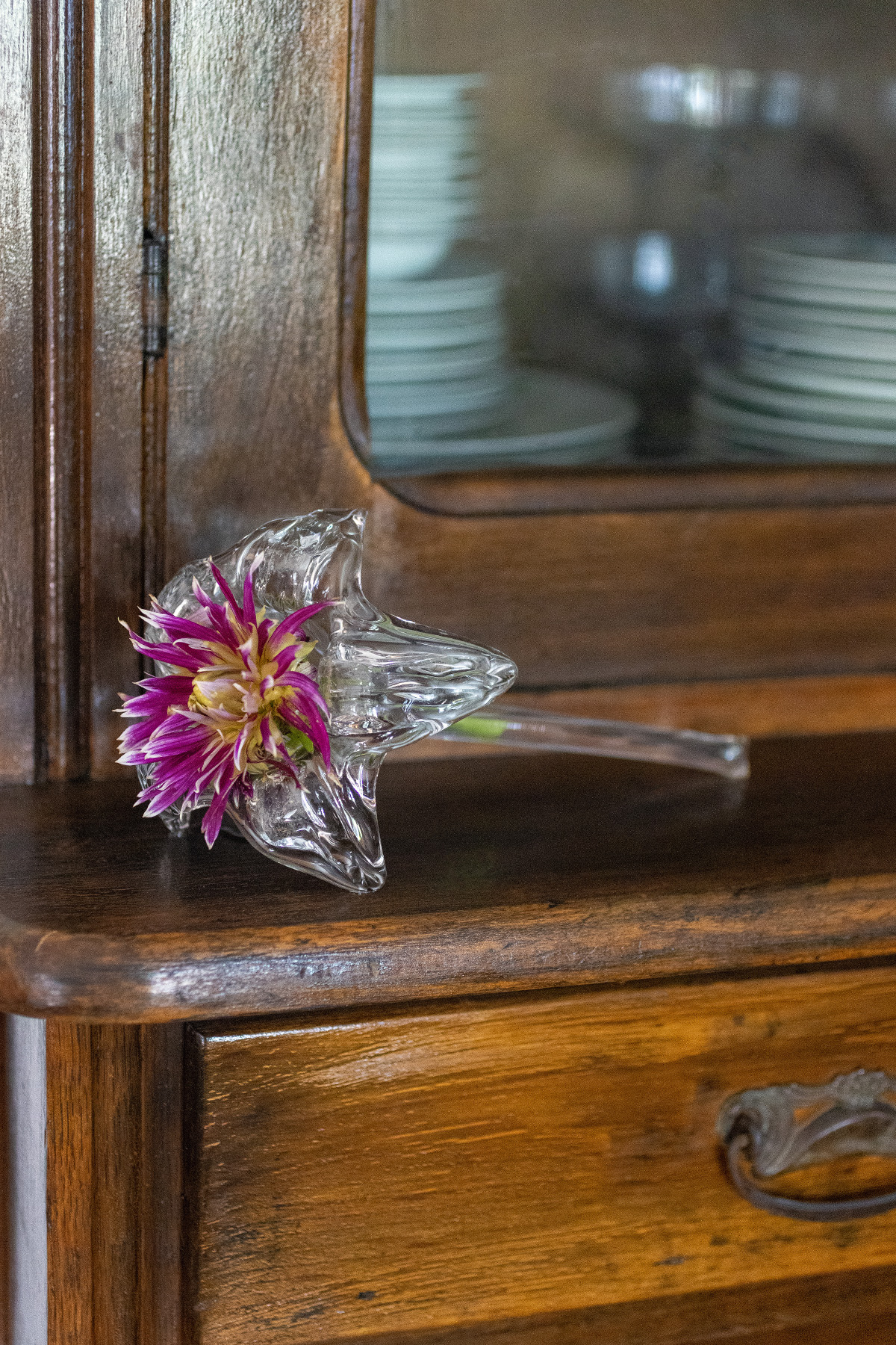 Glass Flower Vase