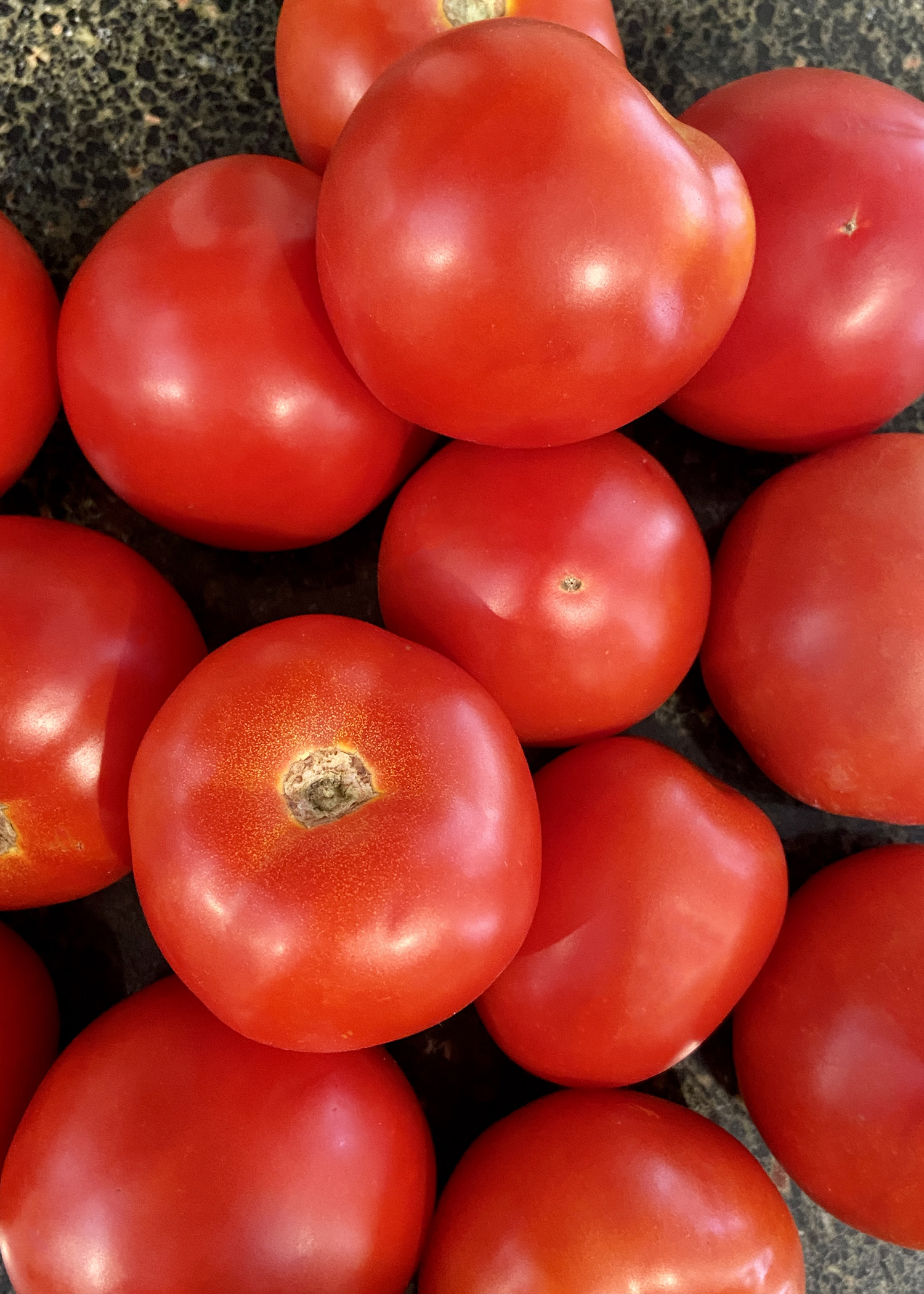 Homegrown Tomatoes