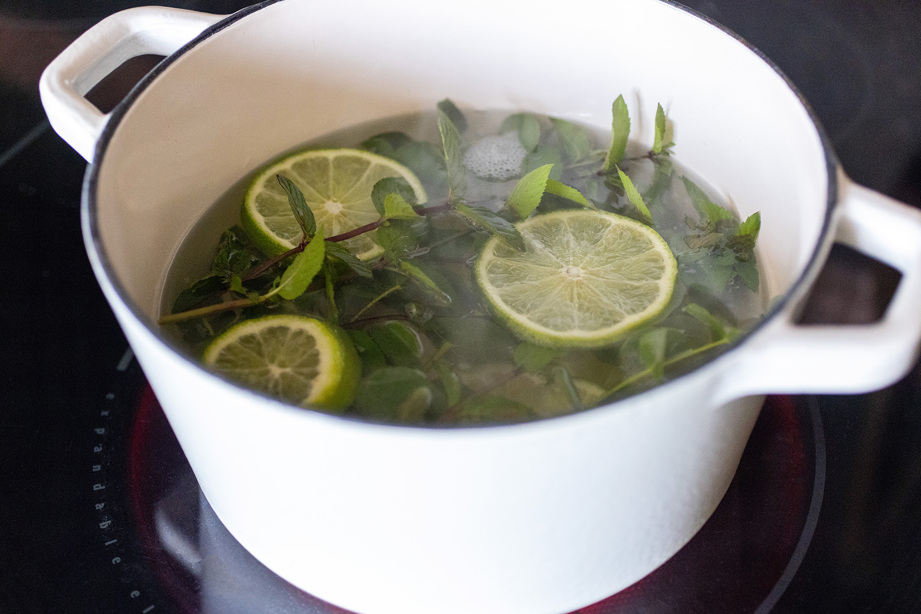 Mint, Eucalyptus, Lime Potpourri Simmer Pot