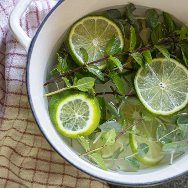 Mint, Eucalyptus, Lime Simmer Pot