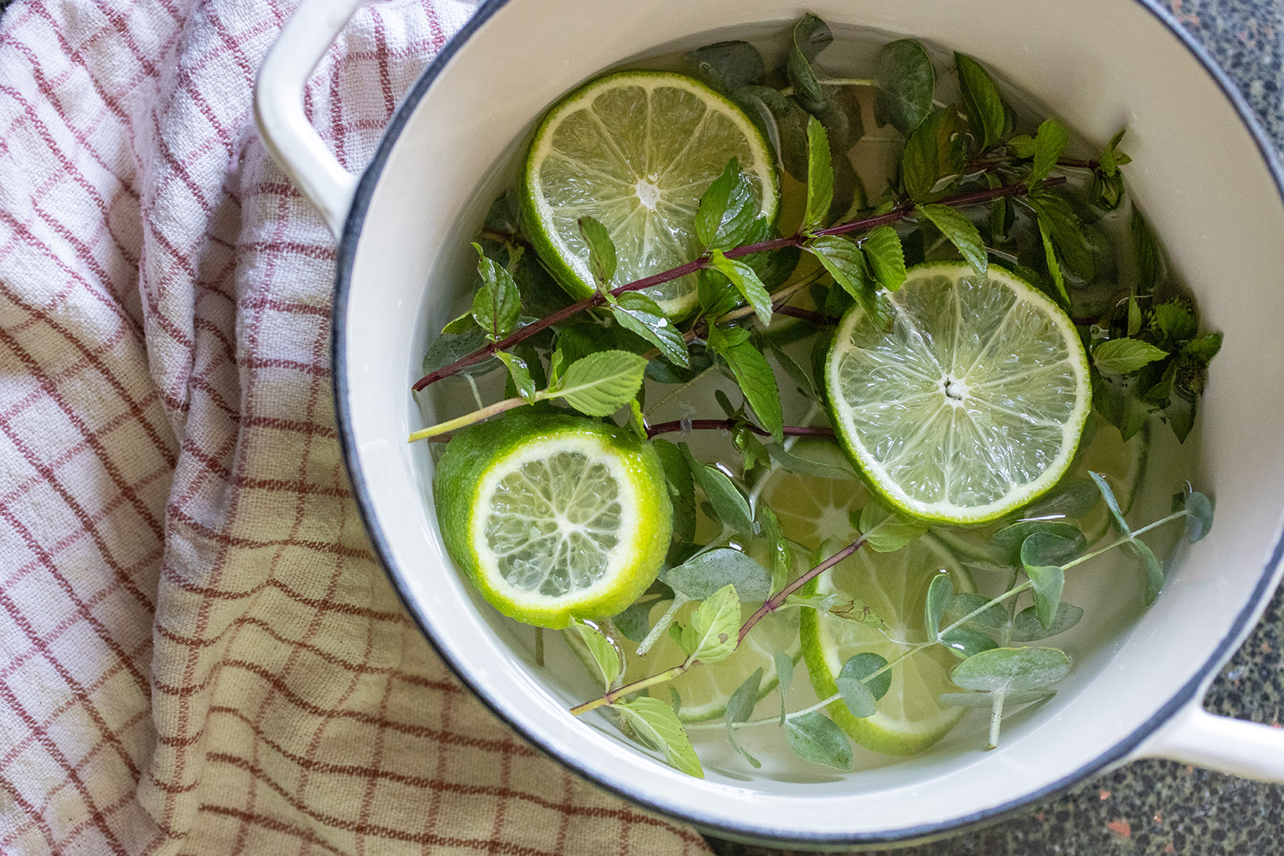 Mint, Eucalyptus, Lime Simmer Pot