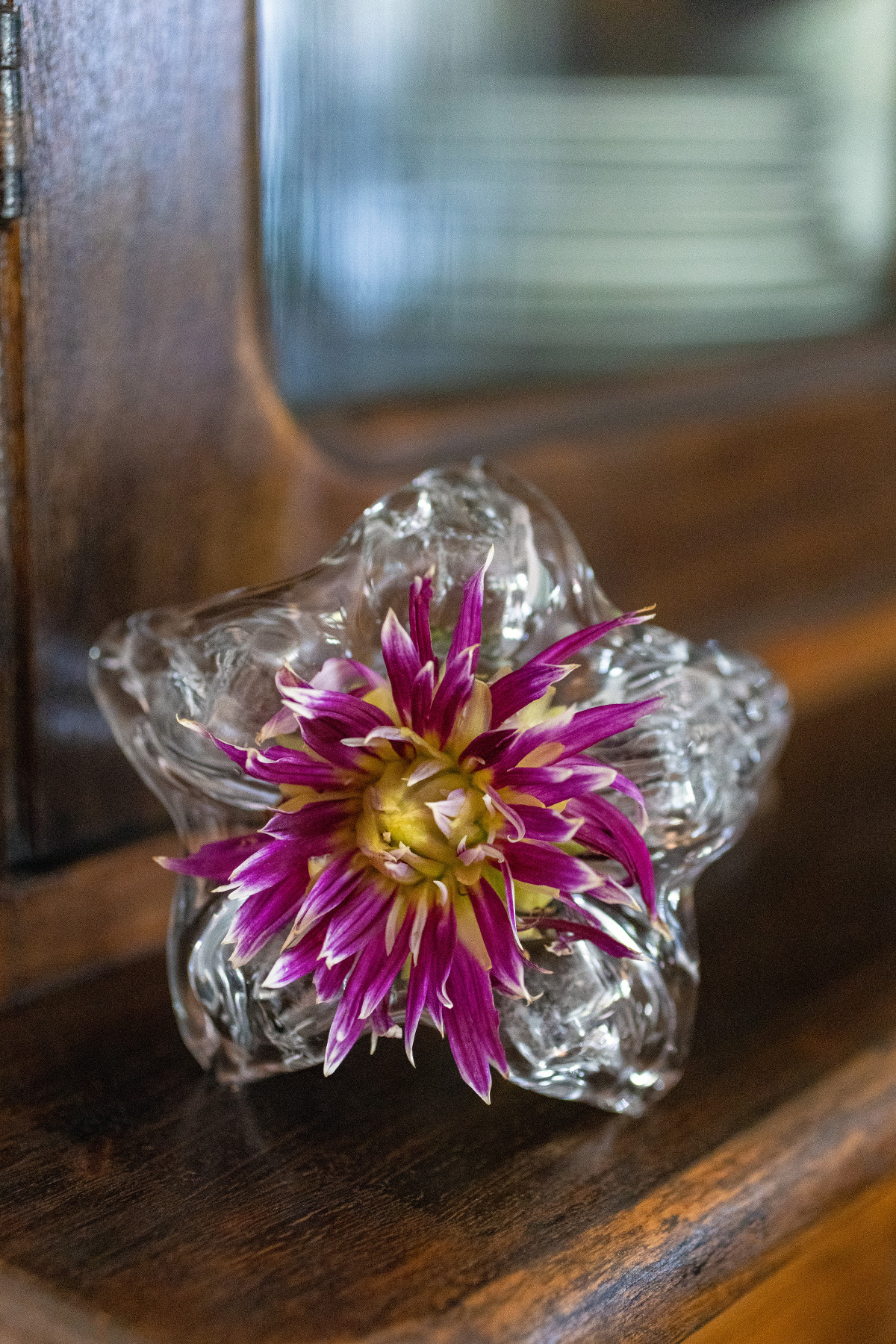 Unique Glass Flower Vase