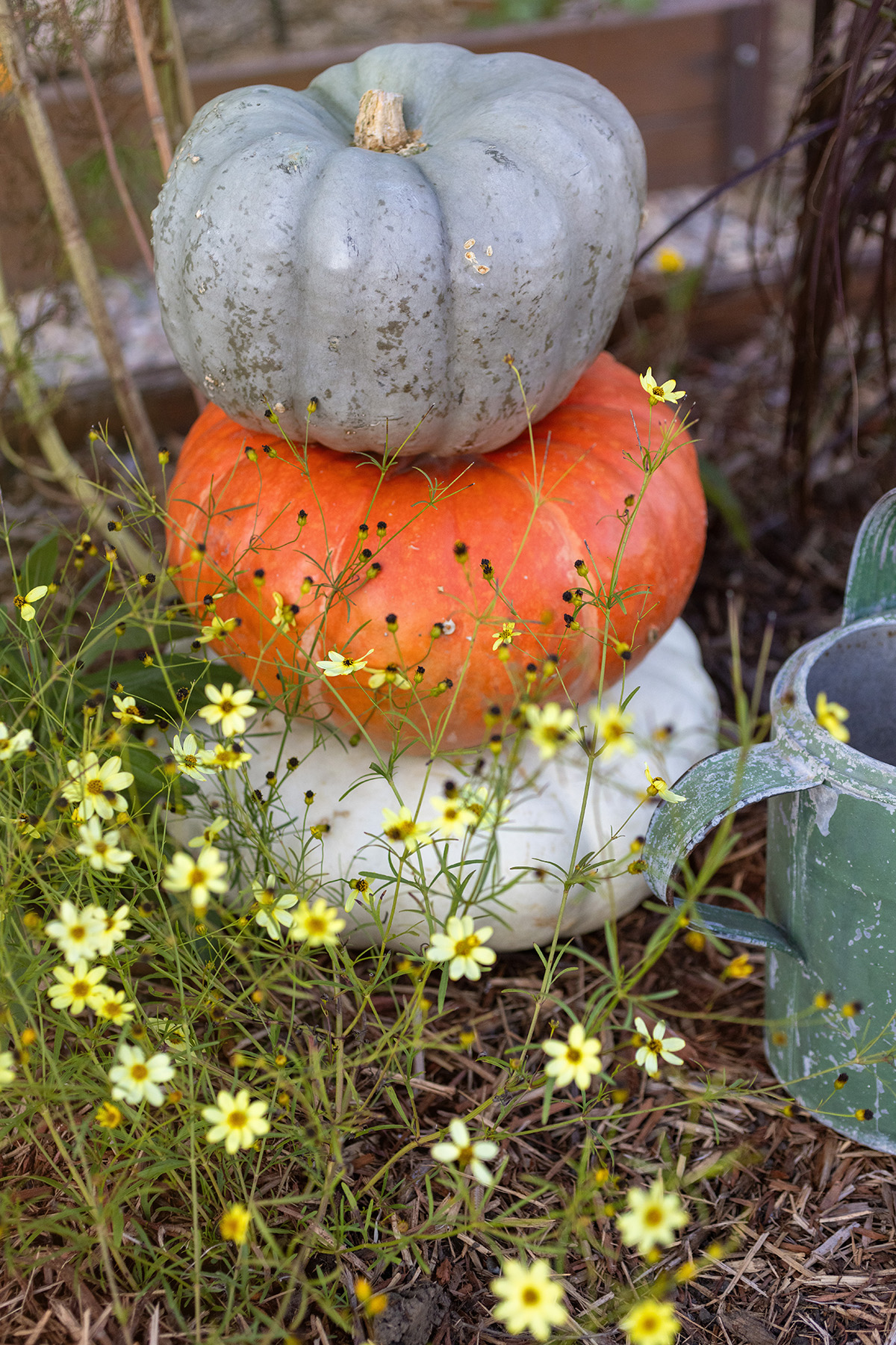 Fall Garden Pumpkin Stack