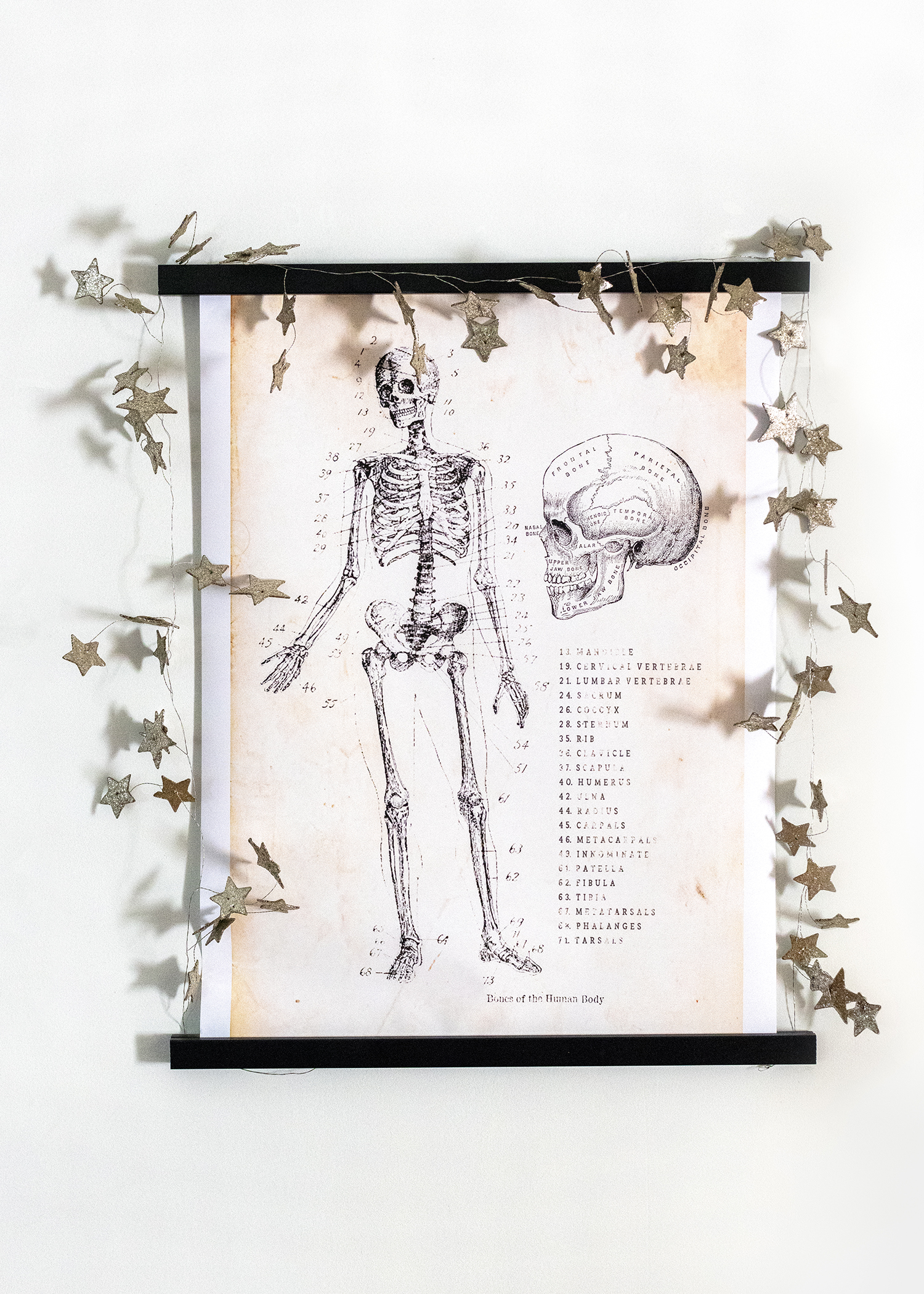 Skeleton Anatomy Free Printable Halloween Wall Hanging