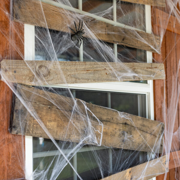 2023 Halloween Barn | Boarded-Up Windows