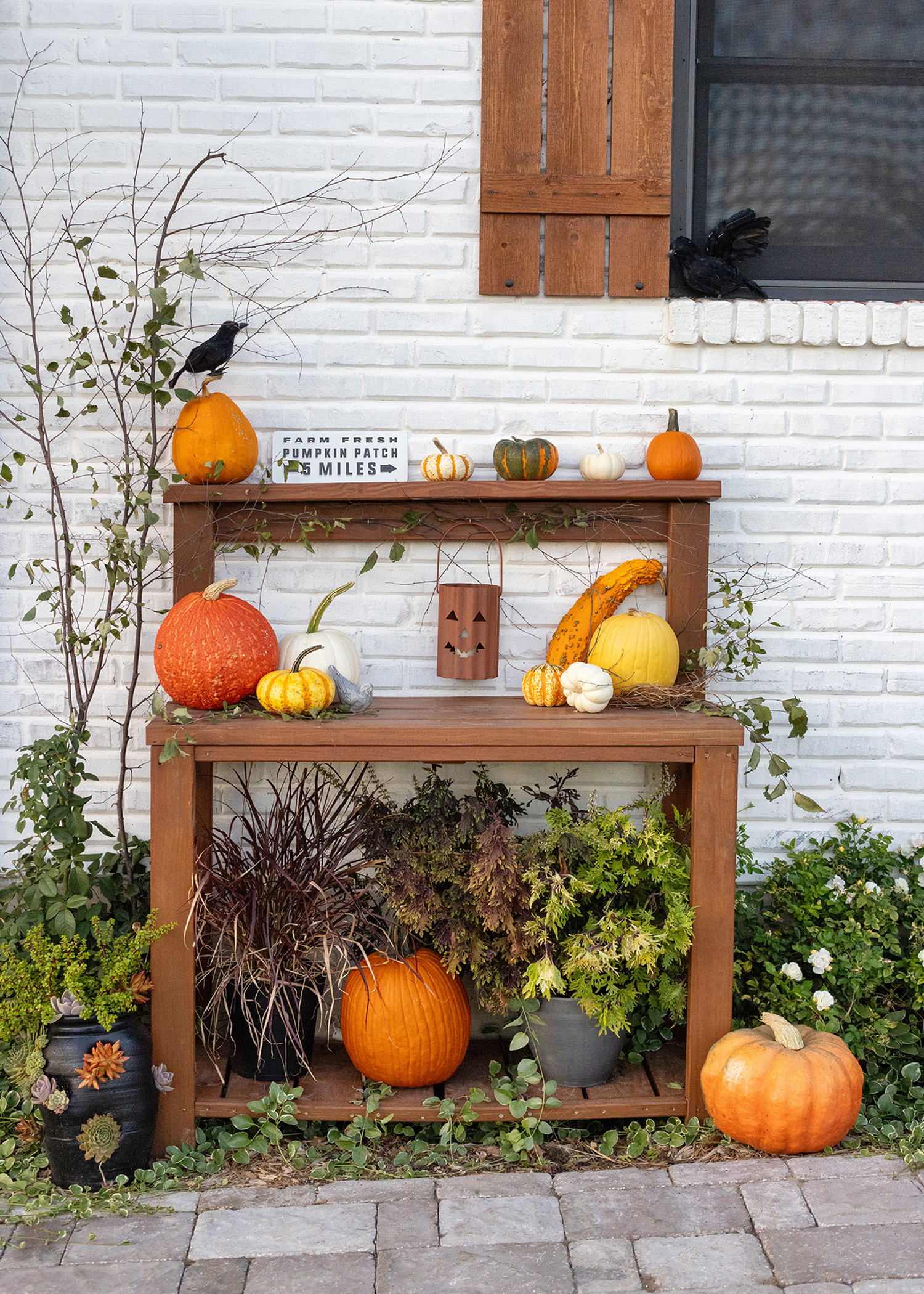 2023 Fall/Halloween Potting Bench