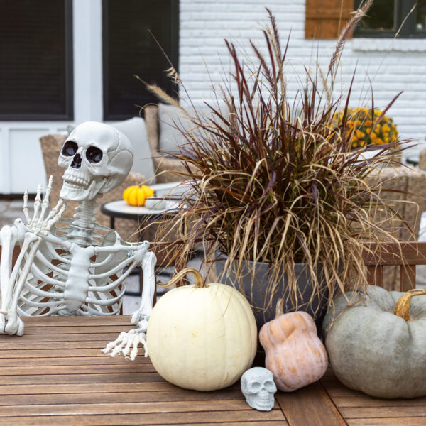 Blake Skelton | Back Patio Dining