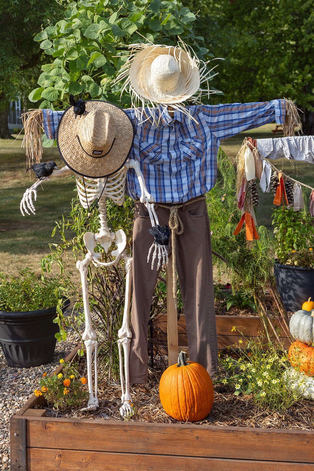 Blake Skelton | Garden Scarecrow