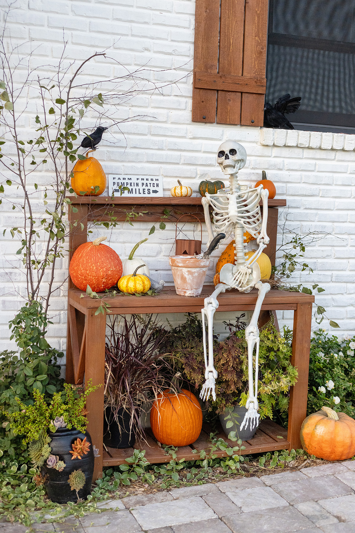 Blake Skelton | Halloween Master Planter