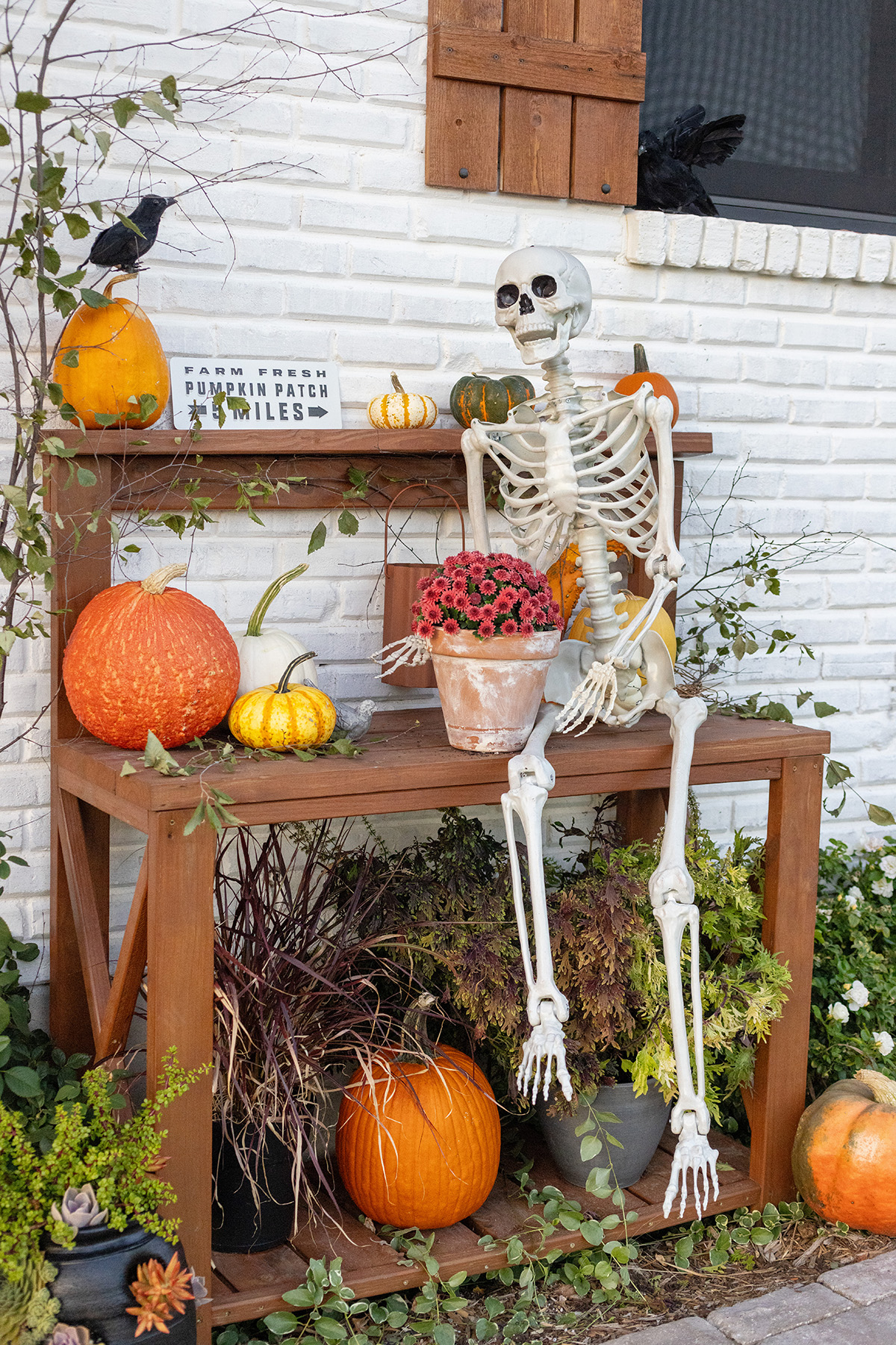 Blake Skelton | Halloween Potting Bench Mums