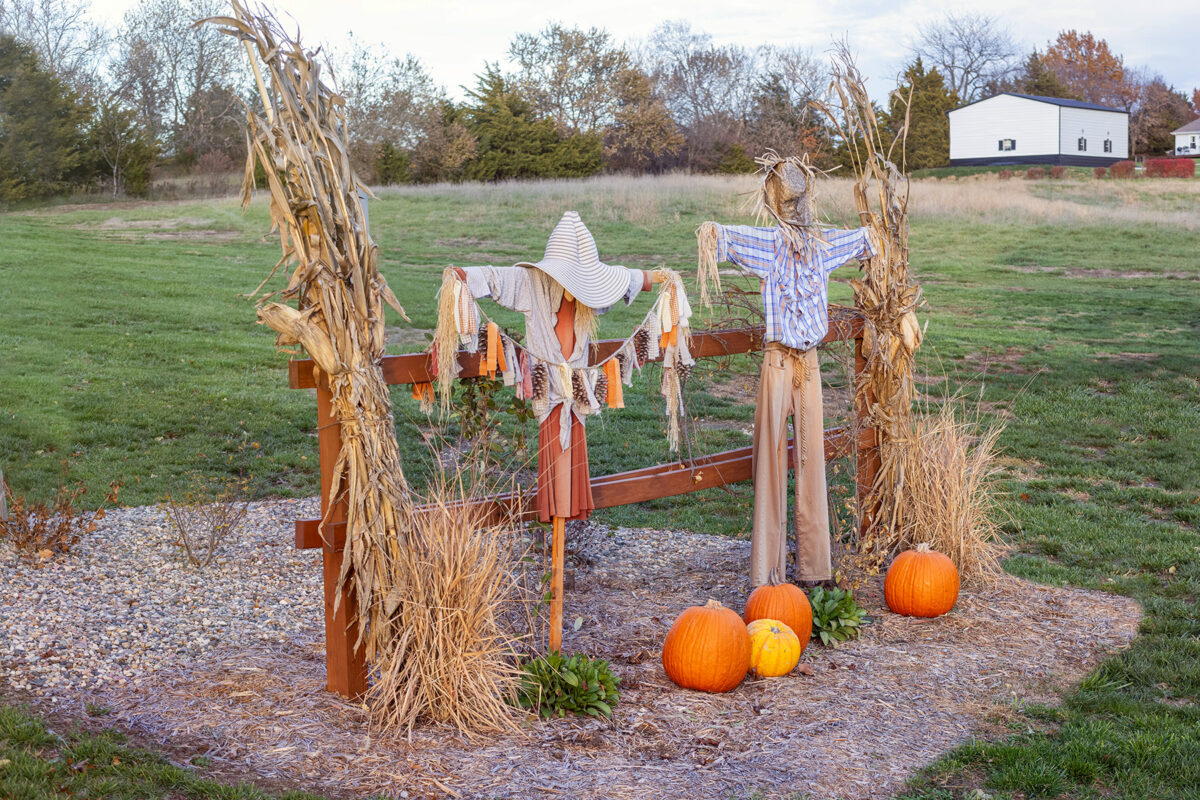 2023 Fall Fence | Scarecrows