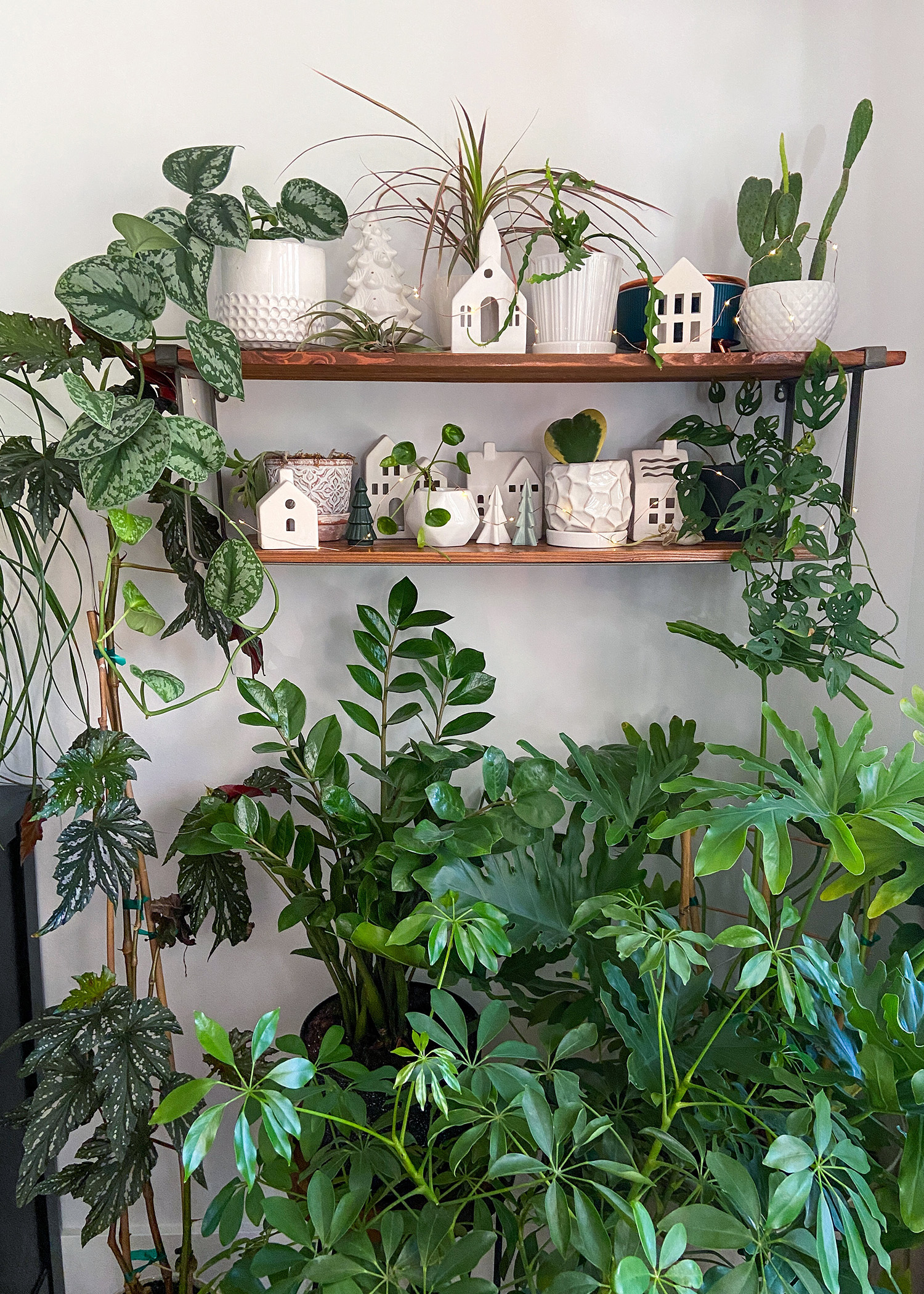 2023 Christmas Plant Shelf