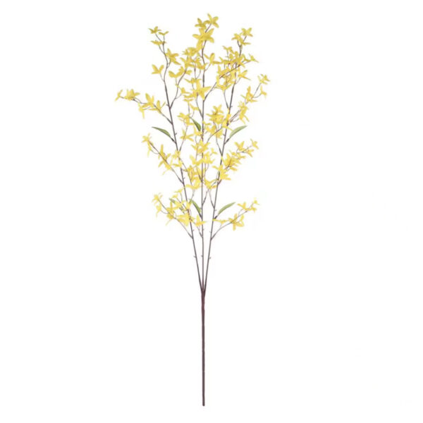 Yellow Forsythia Spray