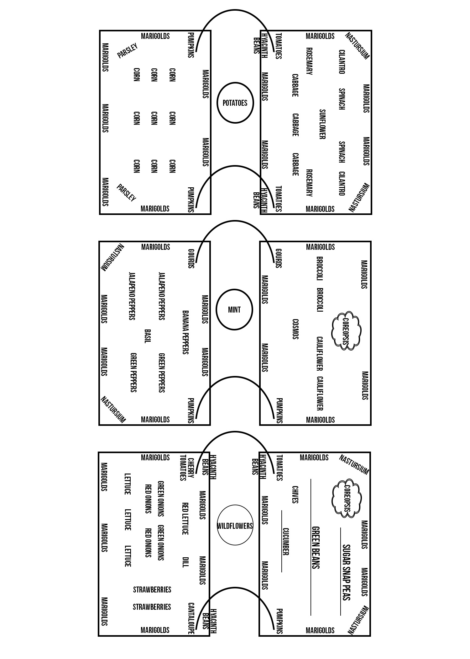 2024 Garden Layout