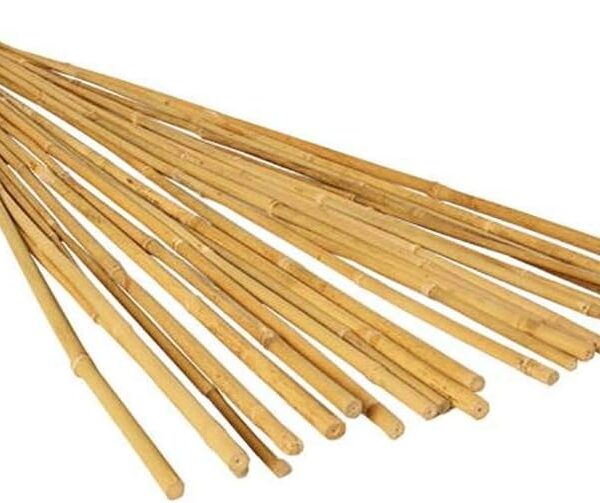 4' Bamboo Garden Stakes