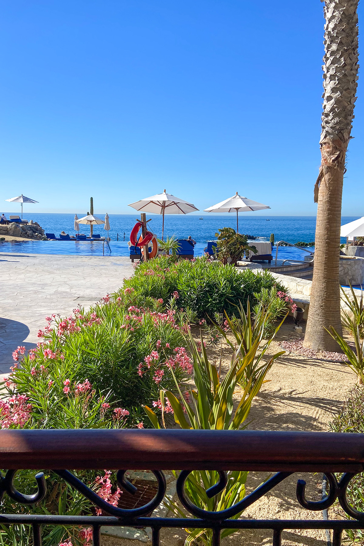 Cabo | Hacienda Encantada Room View