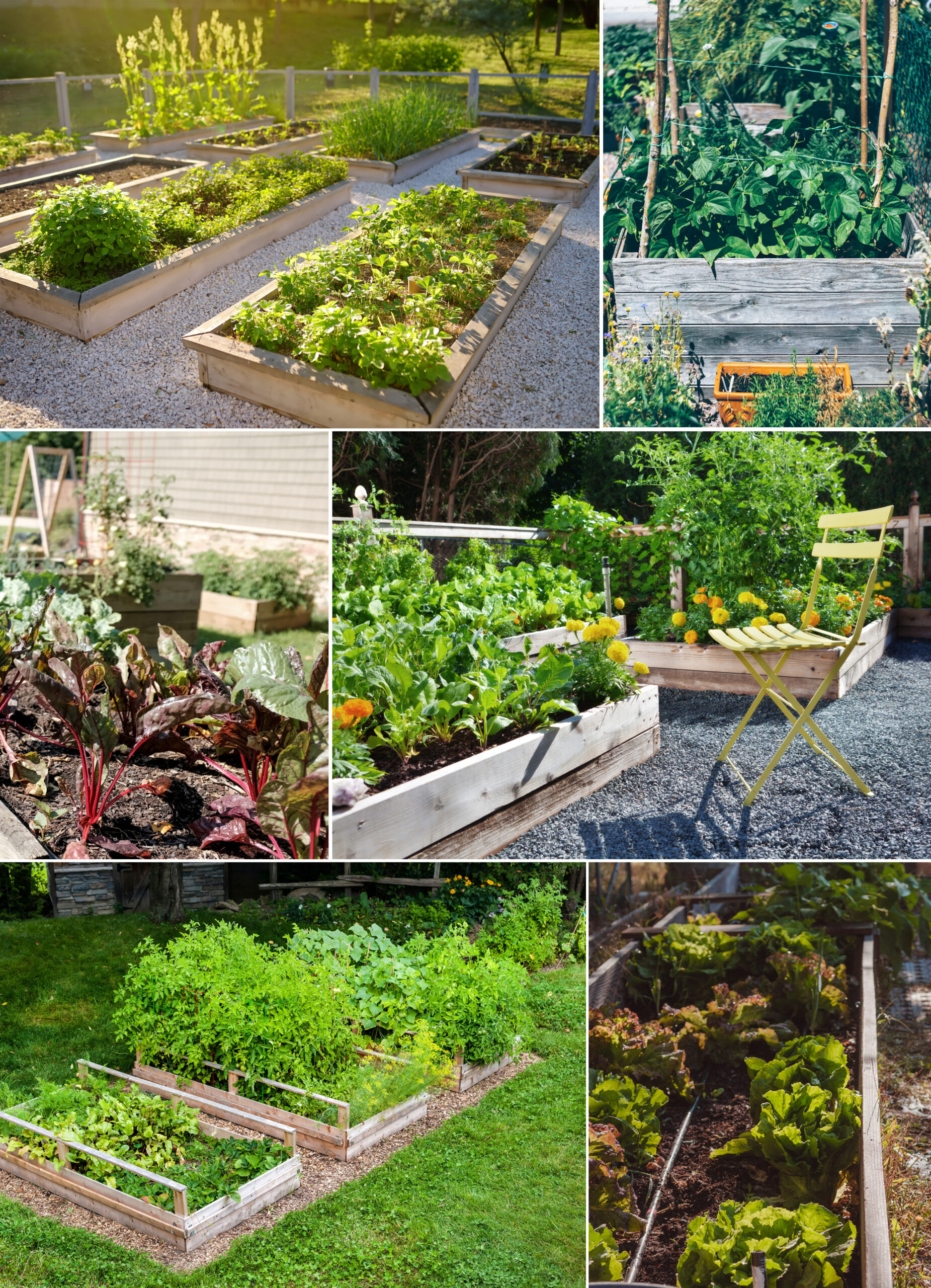 Raised Garden Beds